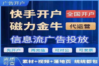 搜索引擎营销（SEM）的投放策略与效果评估——以某行业领先企业的案例分析
